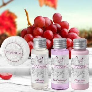 Pachet Cosmetice Hotel Divinum 1